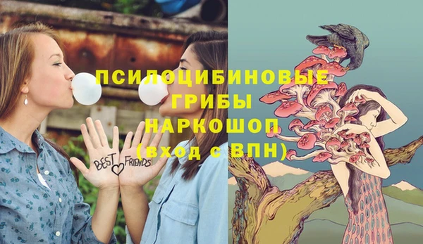 ALPHA PVP Алзамай