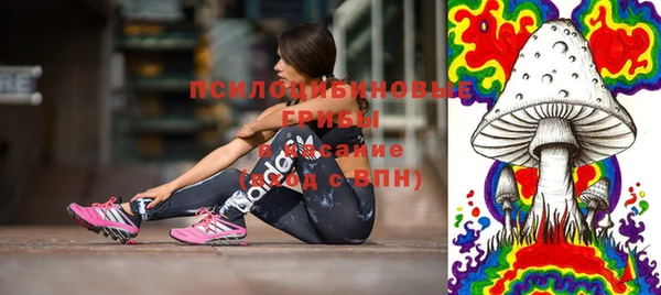СК Алексин