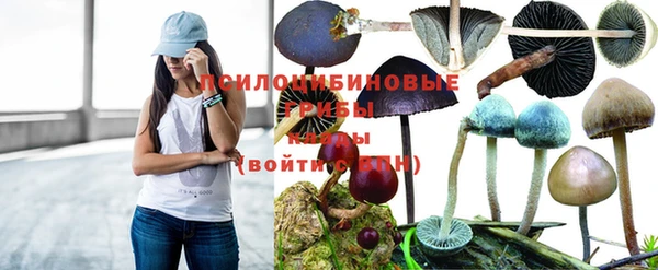 винт Алексеевка