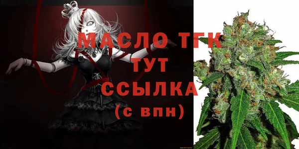 СК Алексин