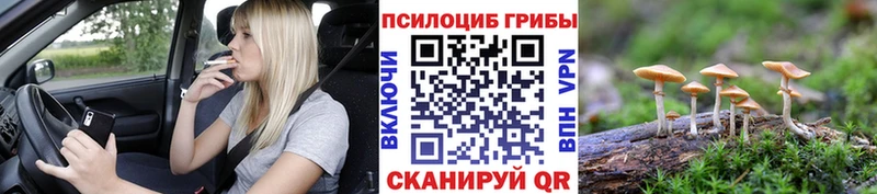 Галлюциногенные грибы Magic Shrooms  Удачный 
