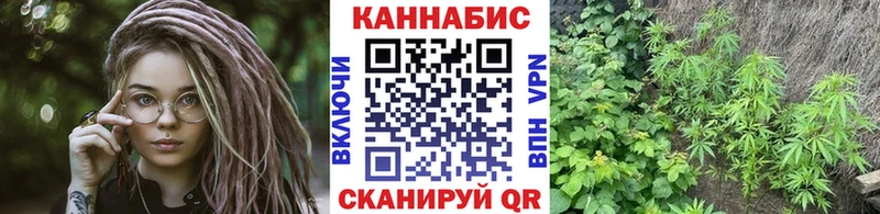 Шишки марихуана Bruce Banner Удачный